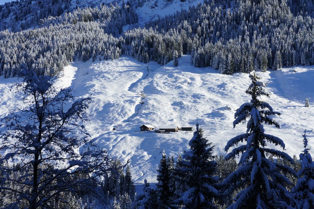 Apart Soellbacherhof Fügen Εξωτερικό φωτογραφία